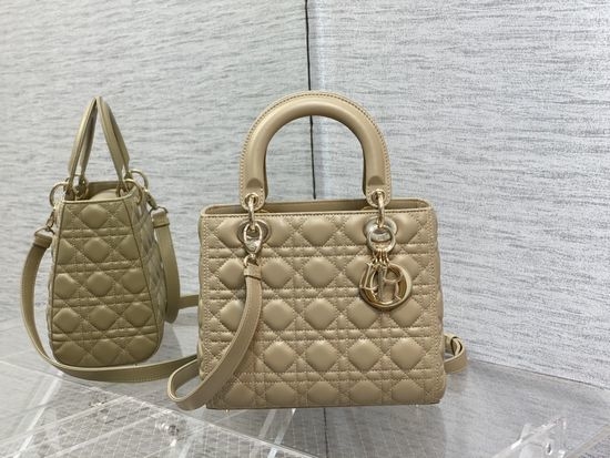 Christian Dior CD Lambskin Lady Flap Bag 6605
