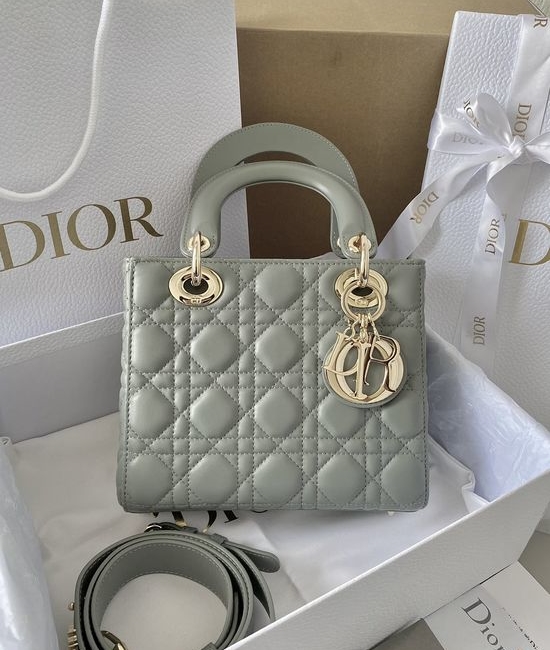 Christian Dior CD Four-Grid Gold Buckle Bag in Rock Gray 6604