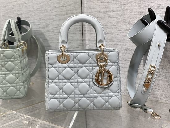 Christian Dior CD Lambskin Iridescent Bag 6604