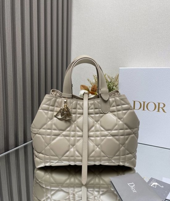Christian Dior CD Toujours Medium Leather Handbag 2821