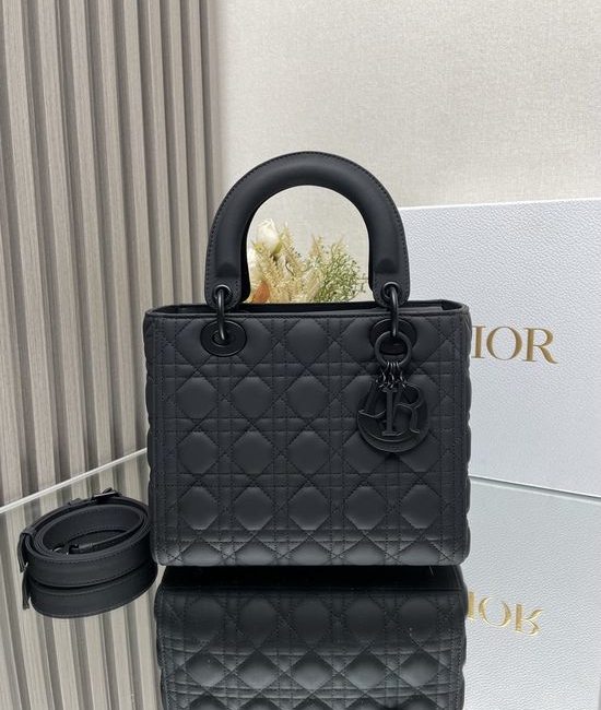 Christian Dior CD Lady ABC Calfskin Shoulder Bag