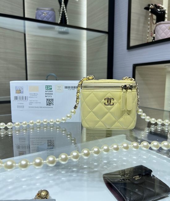 Chanel Pearl Chain Vanity Case AP2581Y
