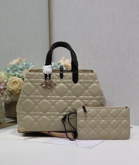 Christian Dior CD TOUJOURS Color-block Leather Handbag 1188
