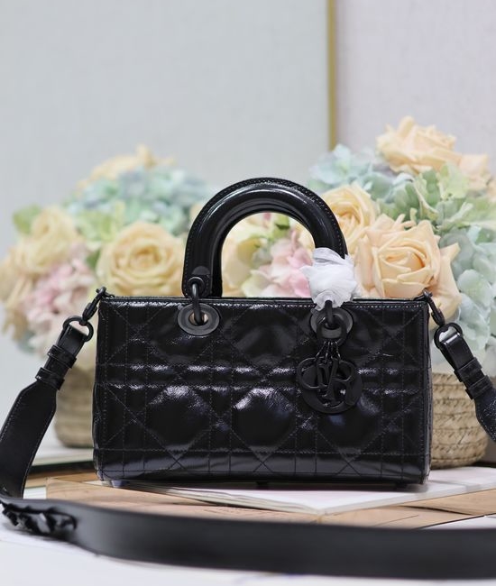 Christian Dior CD Lady D-Sire Leather Handbag 1150