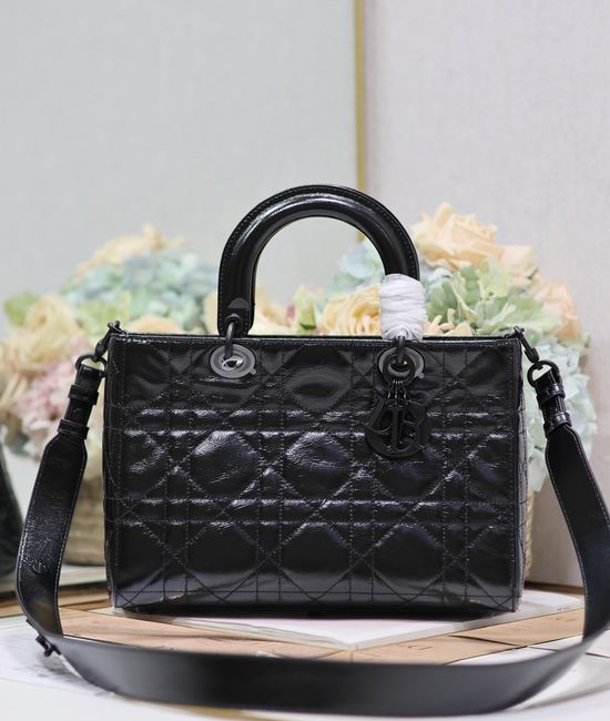 Christian Dior CD Lady D-Sire Leather Handbag 1151