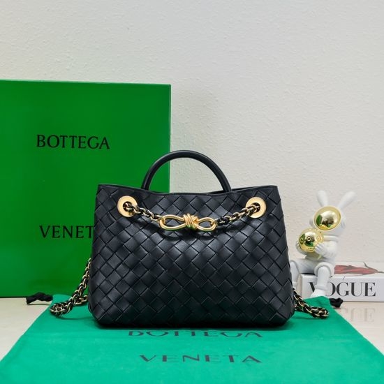 Bottega Veneta BV Andiamo Chain Small Bag 6008