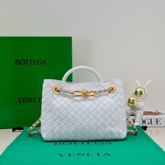 Bottega Veneta BV Andiamo Chain Small Bag 6008