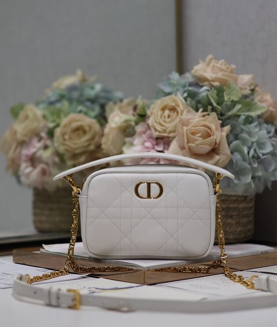 Christian Dior CD Caro Top Handle Camera Bag 3352