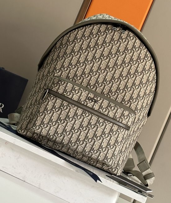 Christian Dior CD Rider Backpack Casual Daily 93328
