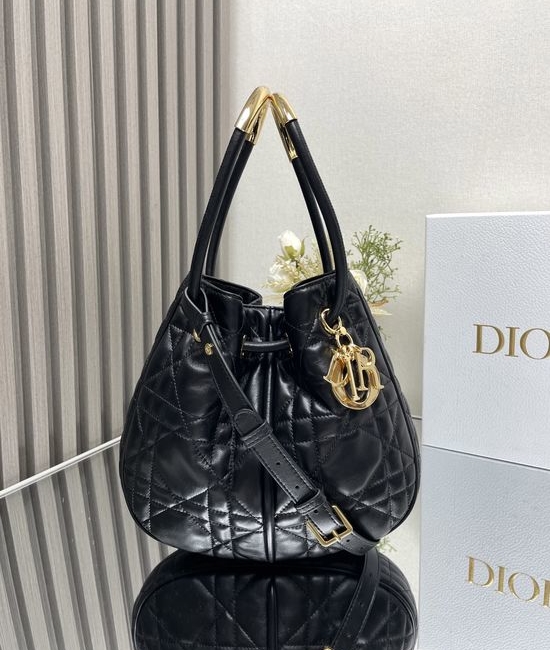 Christian Dior CD Nolita Elegant Handbag with D.I.O.R. Charm 2312