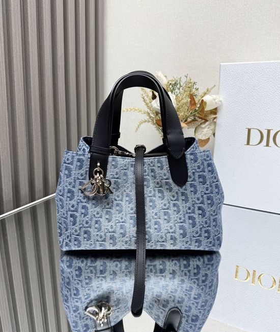 Christian Dior CD Toujours Denim Pattern Handbag 2822
