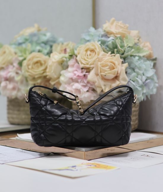 Christian Dior CD Travel Nomad Clutch 5553