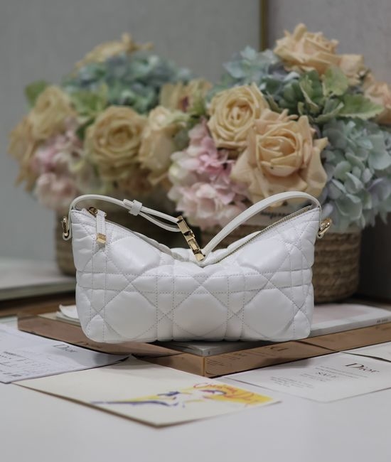 Christian Dior CD Travel Nomad Clutch 5553