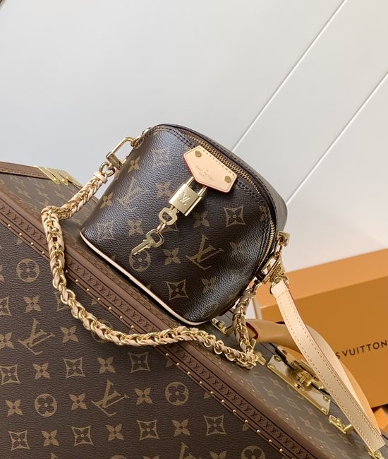 Louis Vuitton LV Just In Case Monogram Handbag M47162