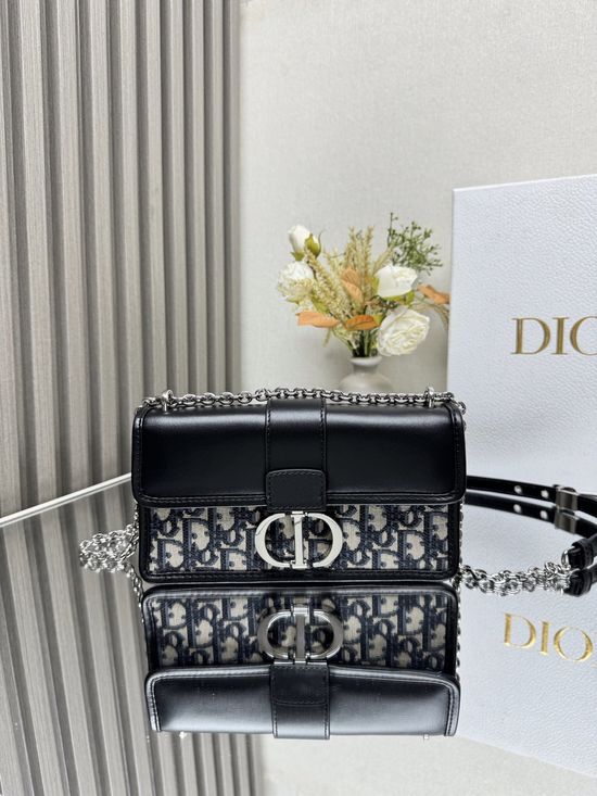 Christian Dior 30 Montaigne Chain Bag 8316