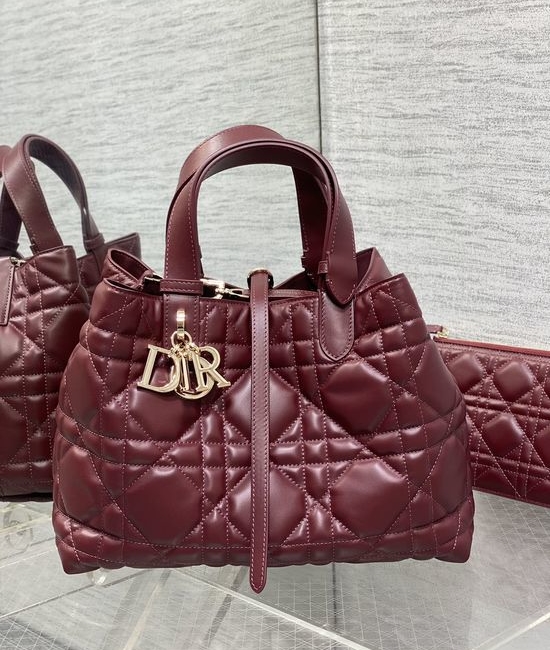 Christian Dior CD Toujours Handbag 6231 2821