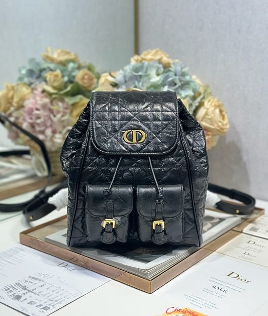 Christian Dior CD Caro Medium Backpack 6301