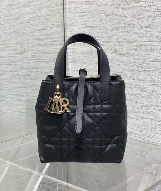Christian Dior CD Toujours Small Quilted Leather Bag 2835