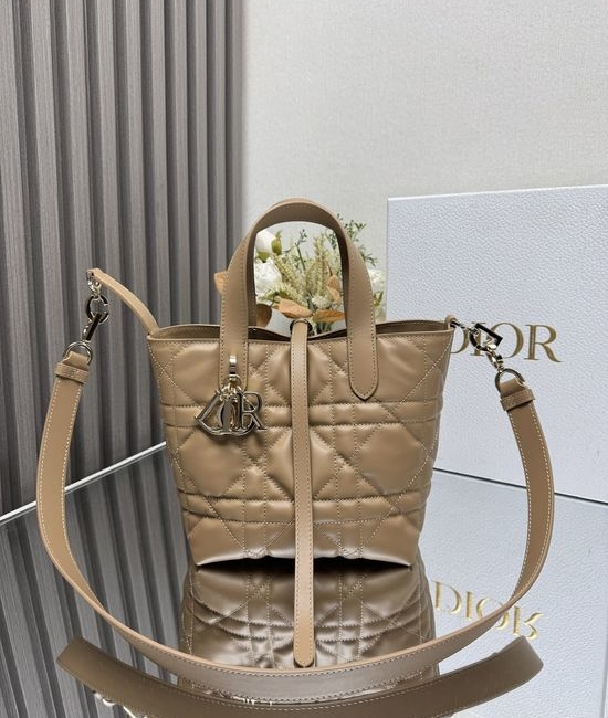 Christian Dior CD Toujours Vertical Calfskin Bag 2835