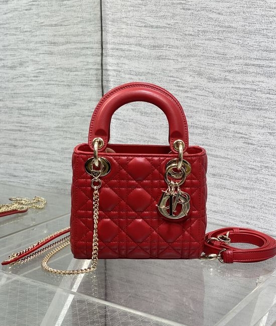 Christian Dior CD Classic Lady Handbag 6603