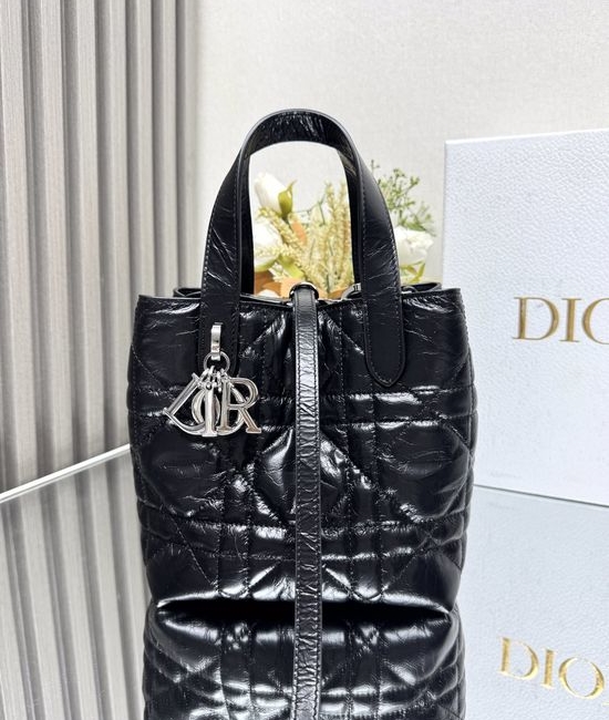 Christian Dior CD Toujours Handbag 2835