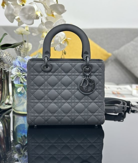 Christian Dior CD Lady Christian Dior CD Tote Bag 6605