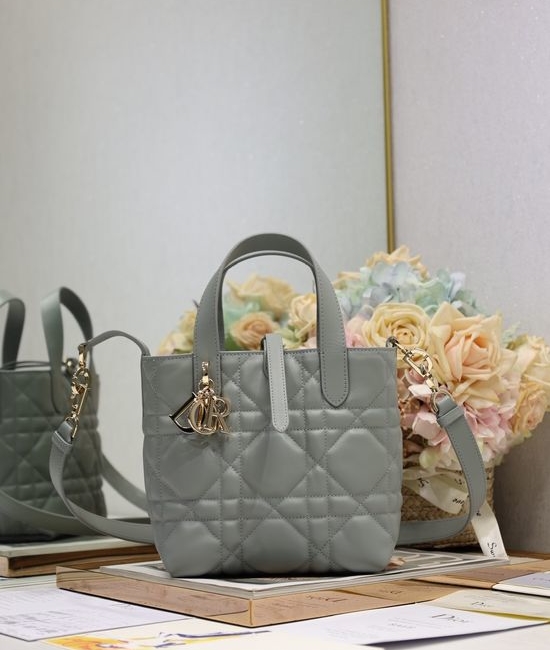 Christian Dior CD Toujours Vertical Handbag 2836