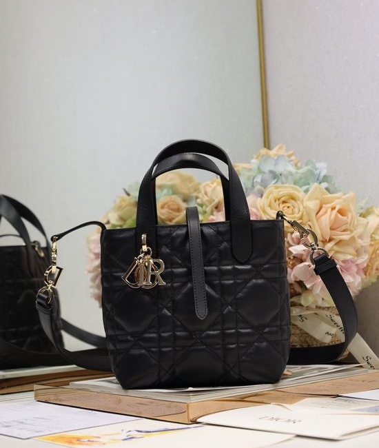 Christian Dior CD Christian Dior CD Toujours Vertical Handbag 2836