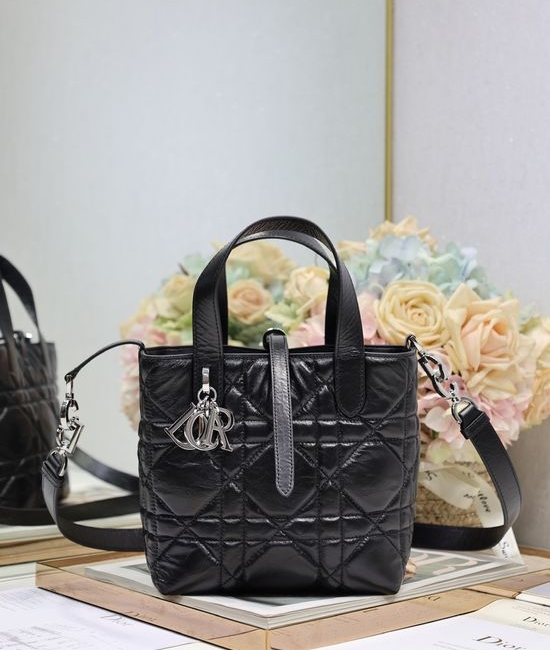 Christian Dior CD Toujours Vertical Handbag 2836