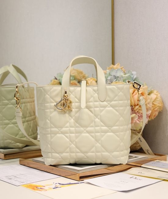 Christian Dior CD Toujours Vertical Handbag 2836