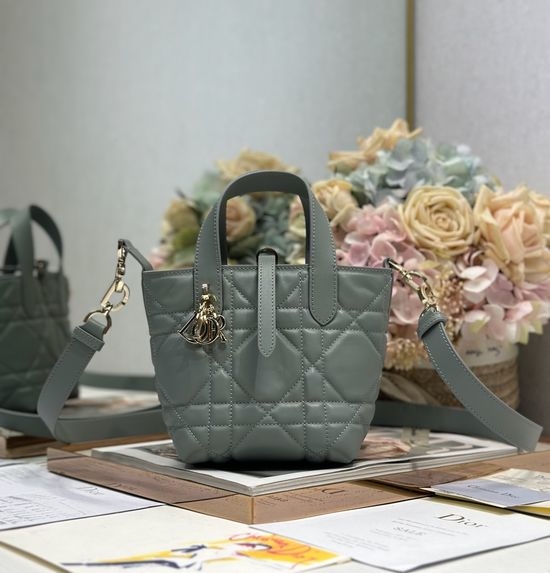 Christian Dior CD Christian Dior CD Toujours Grey Mini Vertical Handbag 2836