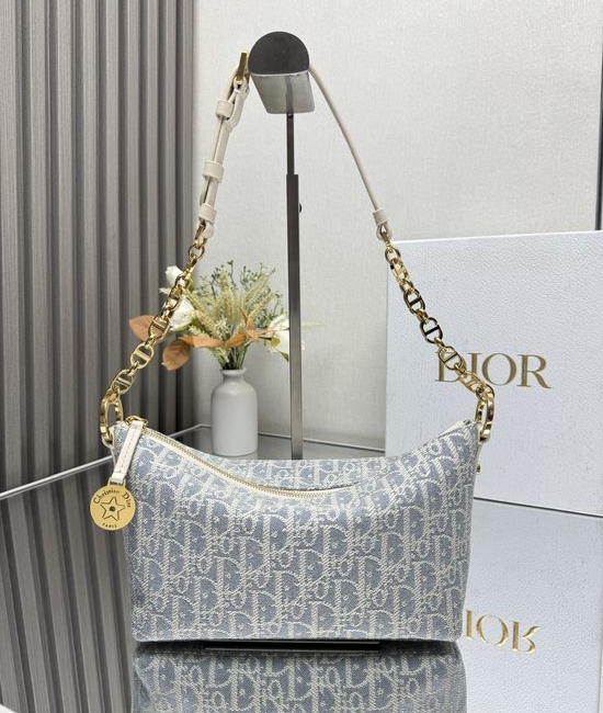 Christian Dior CD Christian Dior CDstar Hobo Oblique Shoulder Bag 3202
