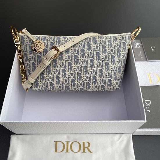 Christian Dior CD Hobo Chain Handbag S3202