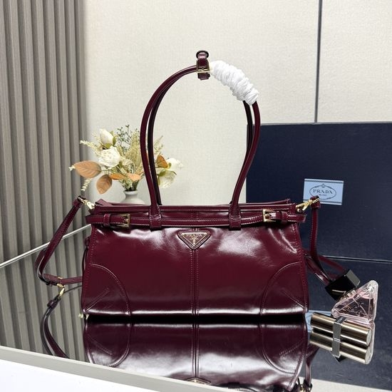 Prada LusSolf Handheld Crossbody Bag 1BA426