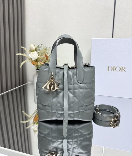 Christian Dior CD Toujours Small Leather Handbag 2835
