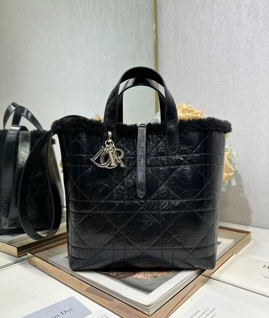 Christian Dior CD Christian Dior CDAlps Vertical Handbag 2836