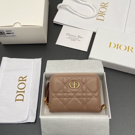 Christian Dior CD Jolie Glycine Small Zippered Purse S5034
