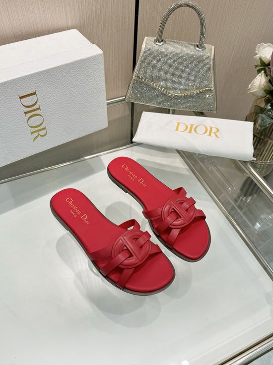 Christian Dior Classic Leather Shoes Suitable for Multiple Occasions