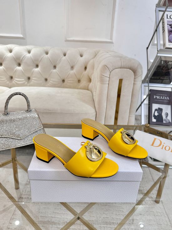 Christian Dior Calfskin Pumps With Sheepskin Lining Rubber Outsole