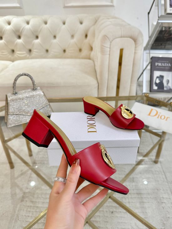 Christian Dior Calfskin Pumps With Sheepskin Lining Rubber Outsole