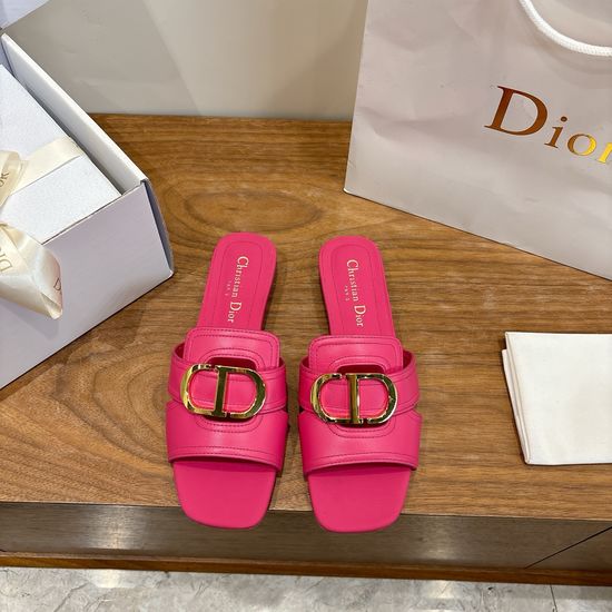 Christian Dior Classic Cut-out Design Low-heeled Shoes