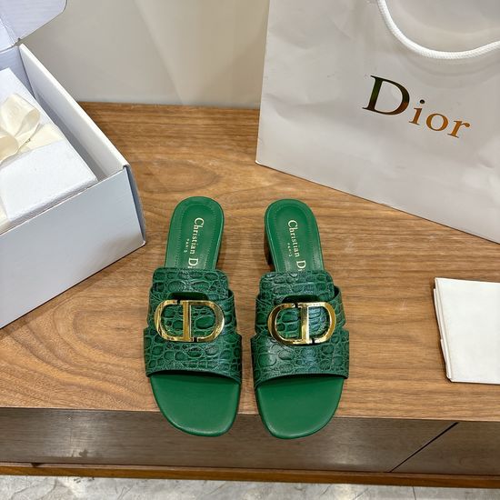 Christian Dior Elegant Cut-out High-heeled Shoes