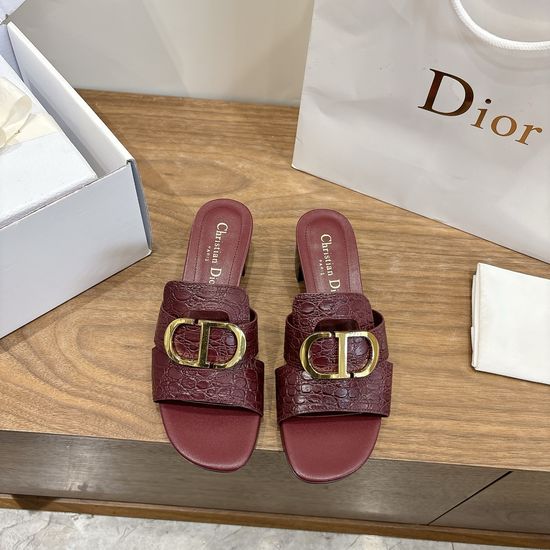 Christian Dior Elegant Cut-out High-heeled Shoes