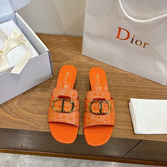 Christian Dior Elegant Cut-out High-heeled Shoes