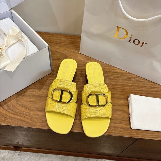 Christian Dior Elegant Cut-out High-heeled Shoes