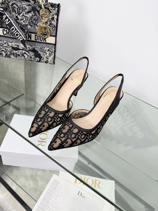 Christian Dior High-Heeled Pointed-Toe Shoes with Floral Embroidery